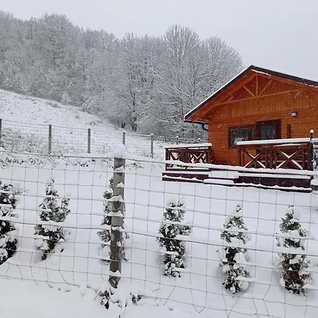 Vakantiehuis Pod Niedzwiedzica Olszyniec