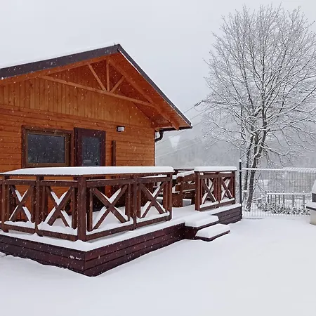 Pod Niedzwiedzica Olszyniec